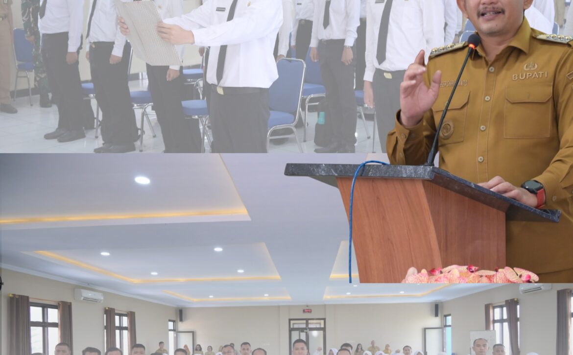 WhatsApp Image 2025-10-06 at 14.31.50