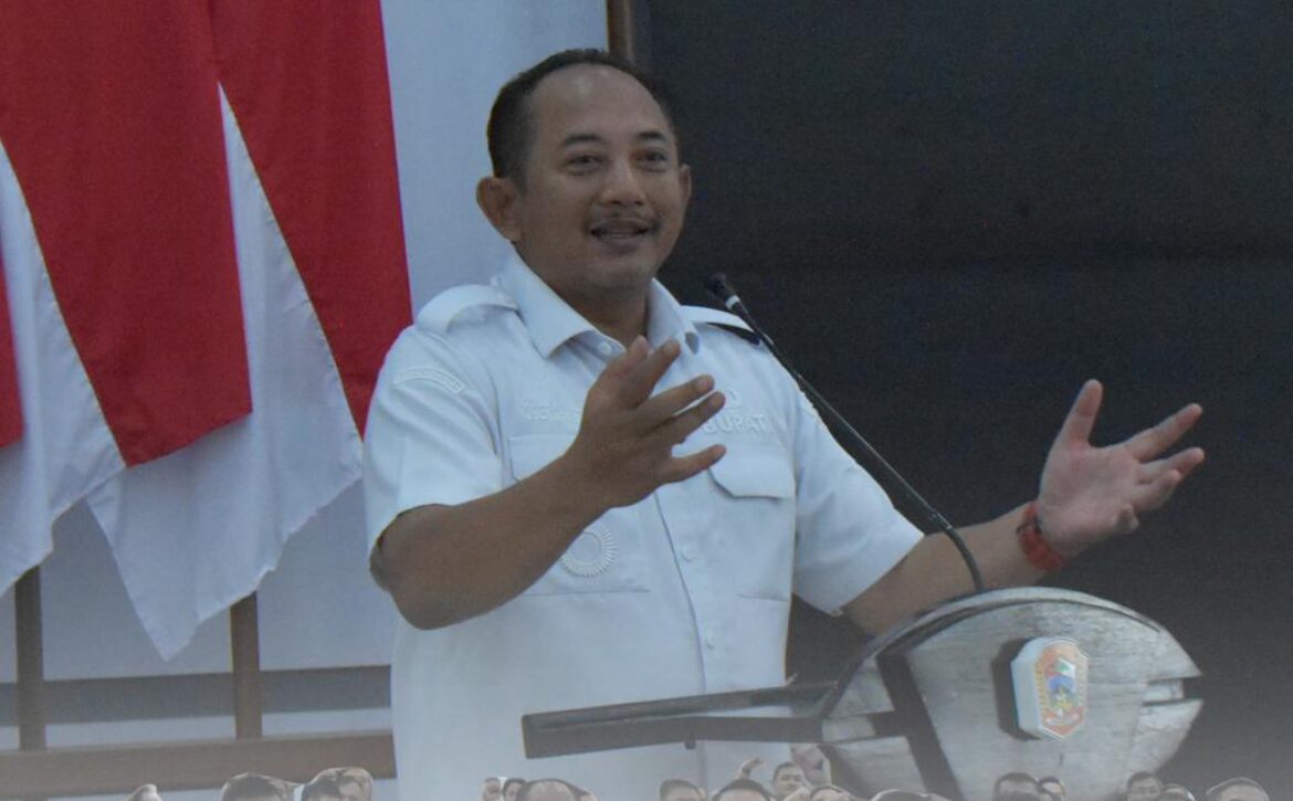 WhatsApp Image 2025-10-16 at 18.47.39