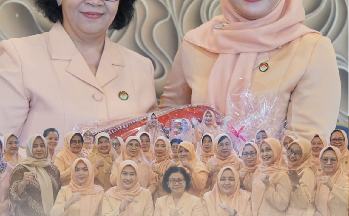 WhatsApp Image 2025-11-04 at 15.11.41