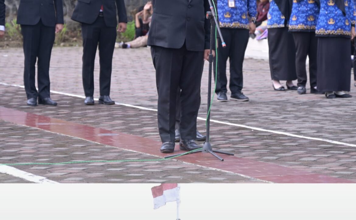 WhatsApp Image 2025-11-11 at 20.11.06