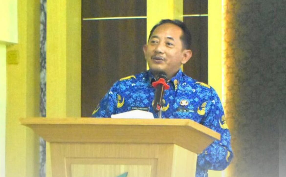 WhatsApp Image 2025-11-12 at 19.16.58 (2)