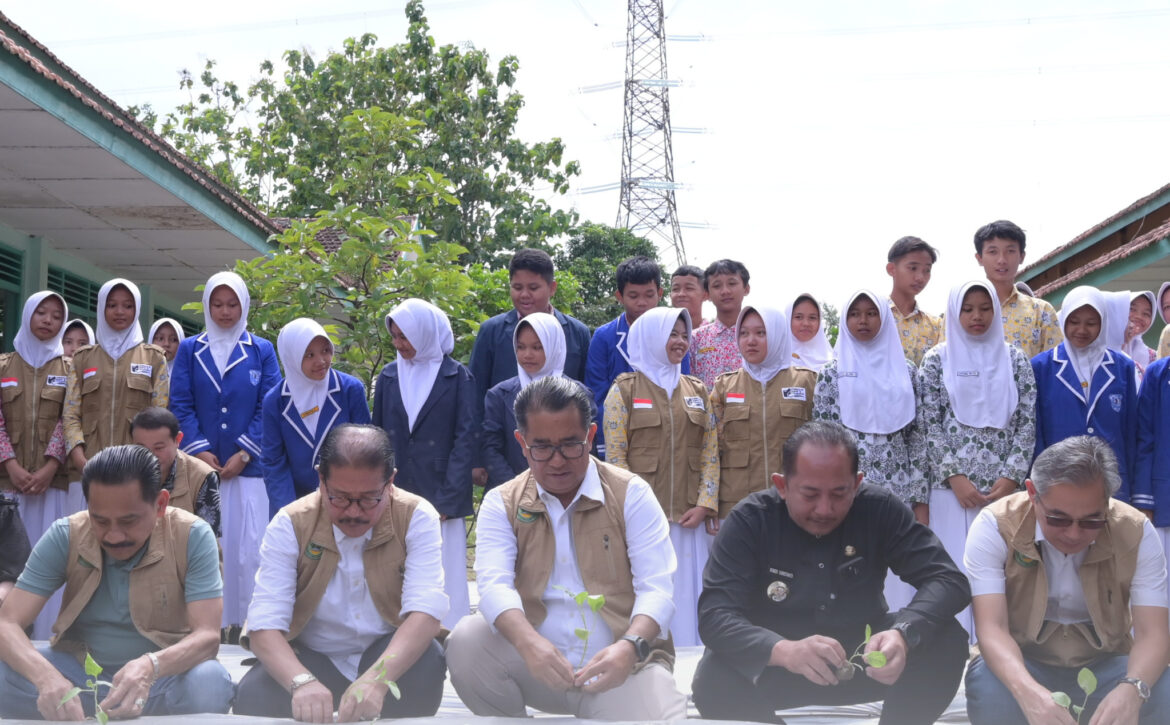 WhatsApp Image 2025-11-14 at 20.31.08