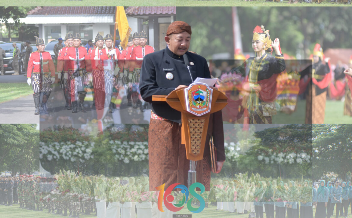 WhatsApp Image 2025-11-18 at 15.24.48