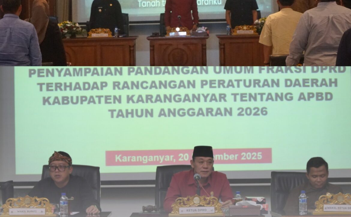 WhatsApp Image 2025-11-20 at 18.31.58