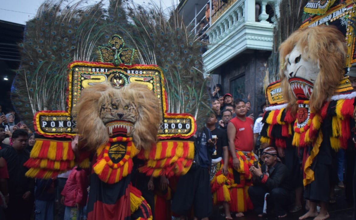 WhatsApp Image 2025-12-10 at 14.22.18 (1)