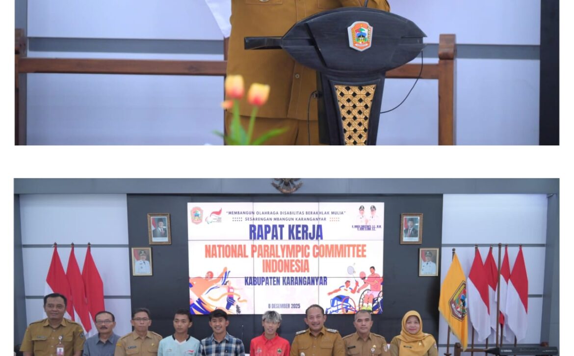 WhatsApp Image 2025-12-10 at 17.22.22