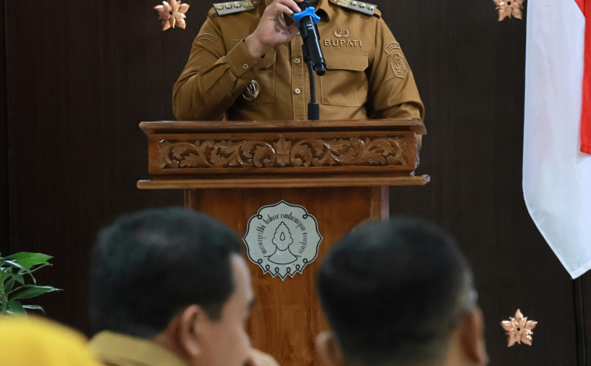 WhatsApp Image 2025-12-15 at 19.12.42