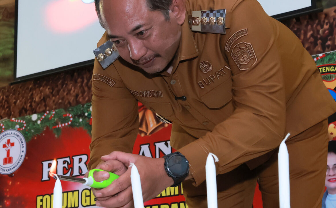 WhatsApp Image 2025-12-15 at 19.14.52