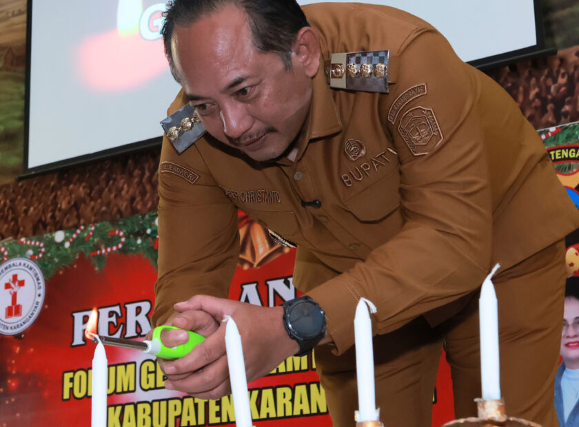 WhatsApp Image 2025-12-15 at 19.14.52