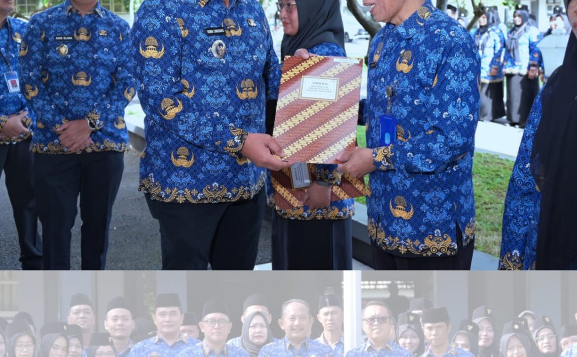 WhatsApp Image 2025-12-18 at 08.00.34