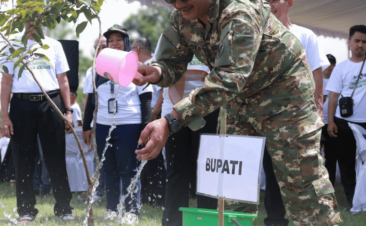 WhatsApp Image 2025-12-19 at 22.17.24