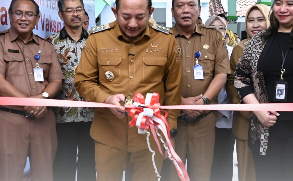 WhatsApp Image 2026-01-05 at 15.02.40