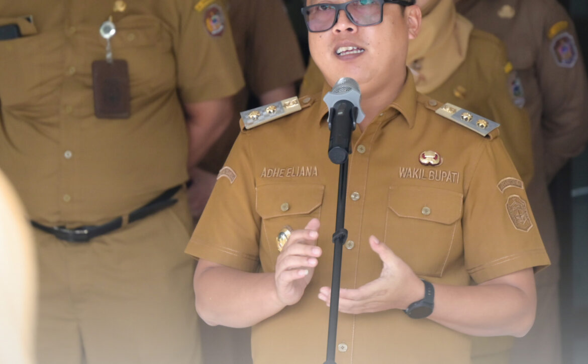 WhatsApp Image 2026-01-13 at 13.30.45